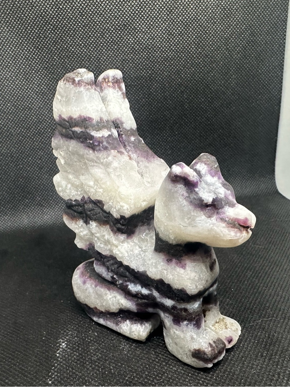 Purple zebra Jasper Phoenix cat